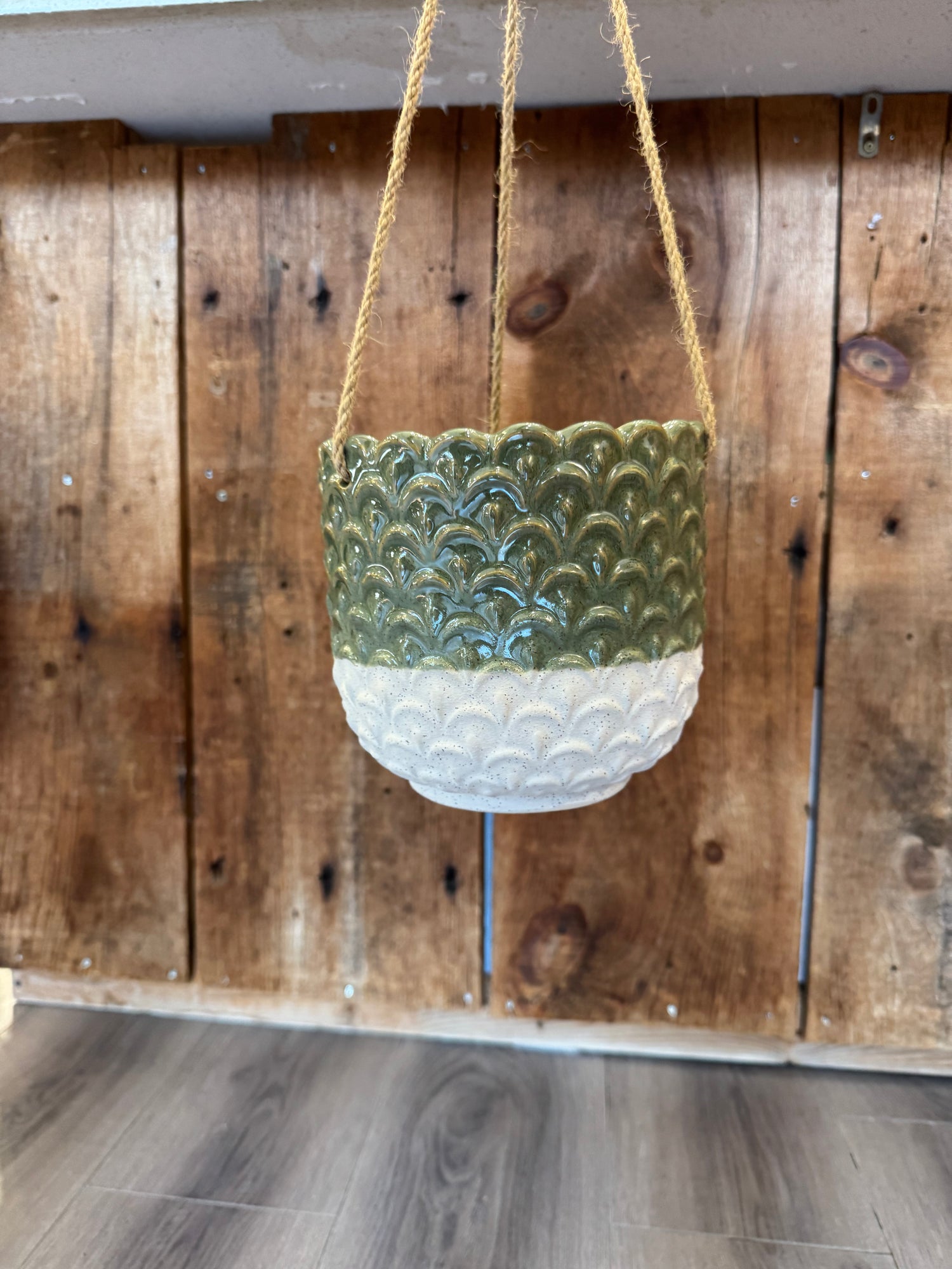 Medium Green and White Scalloped Coloured Hanging Planter