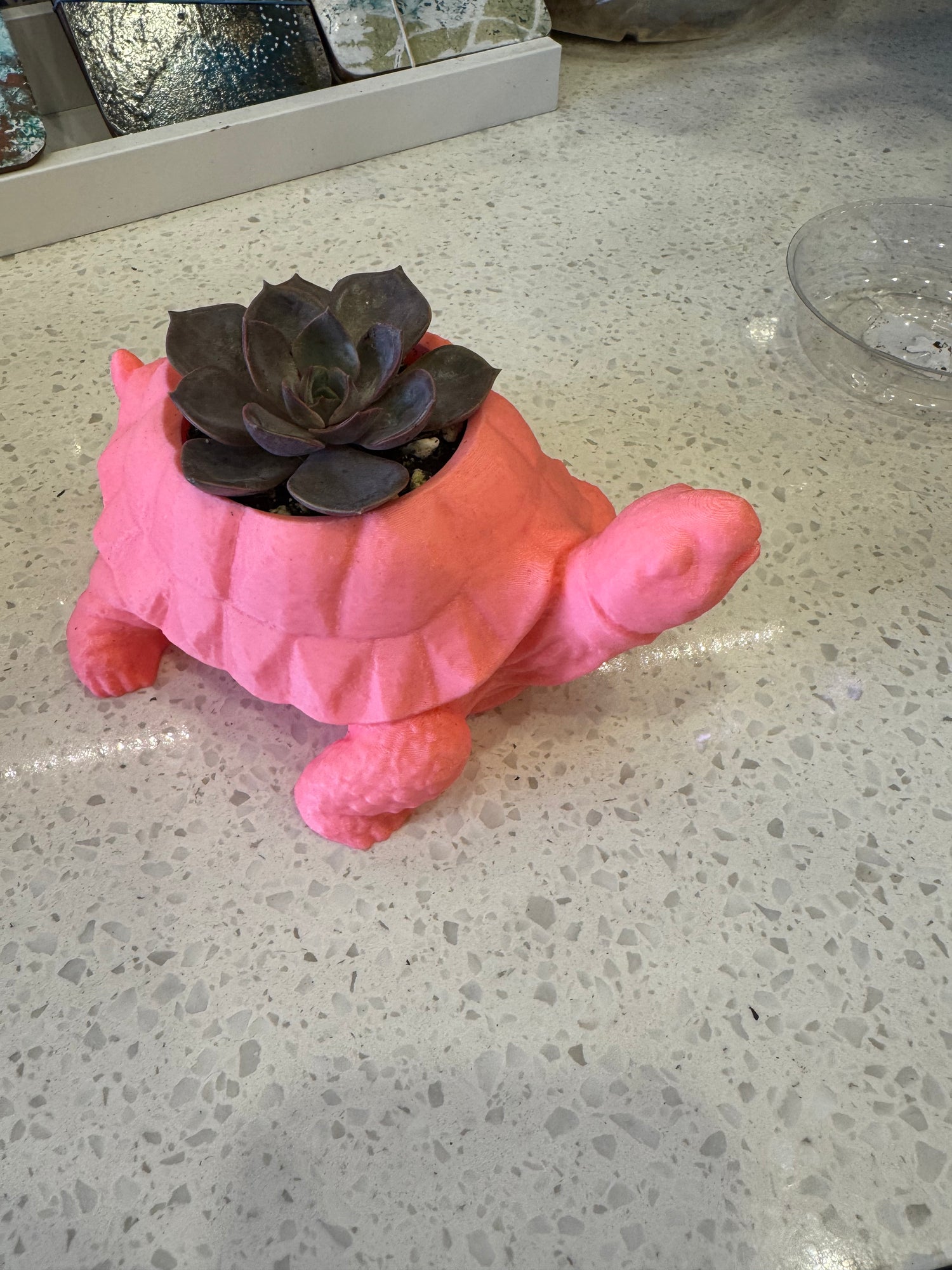 Ux 3D-Printed Pink Tortoise Turtle Planter Succulent