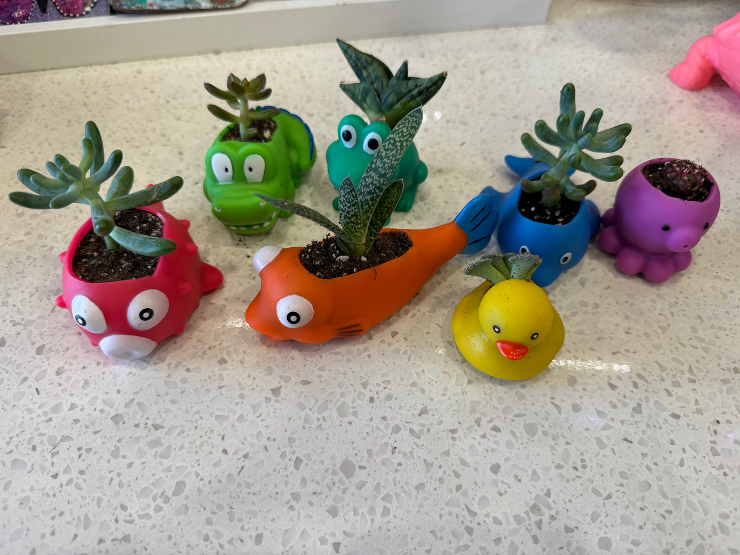 Potted Succulent in Upcycled Bath Toy