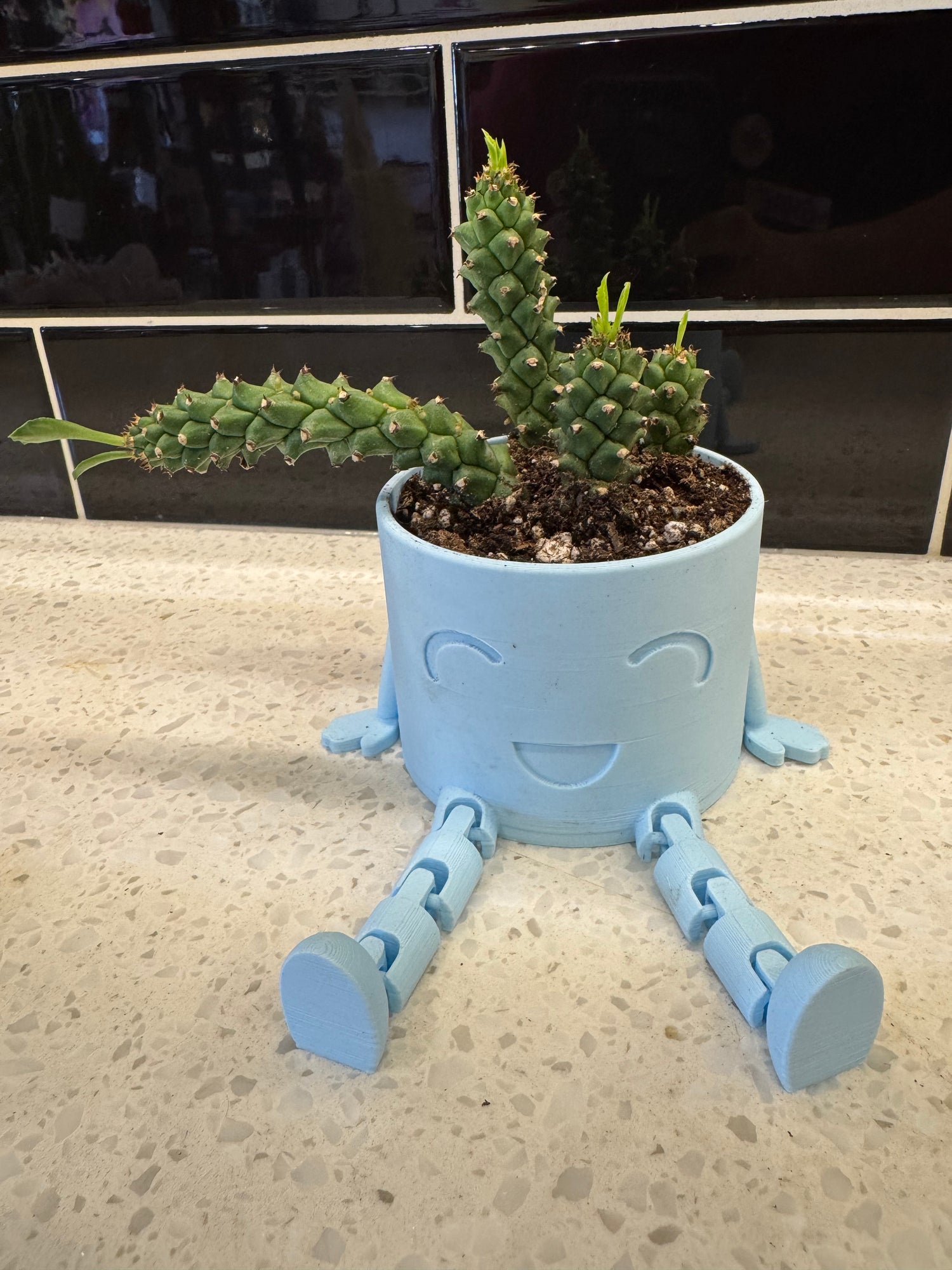 Ux 3D Dangling Legs Potted w/ Medusa Head Cactus