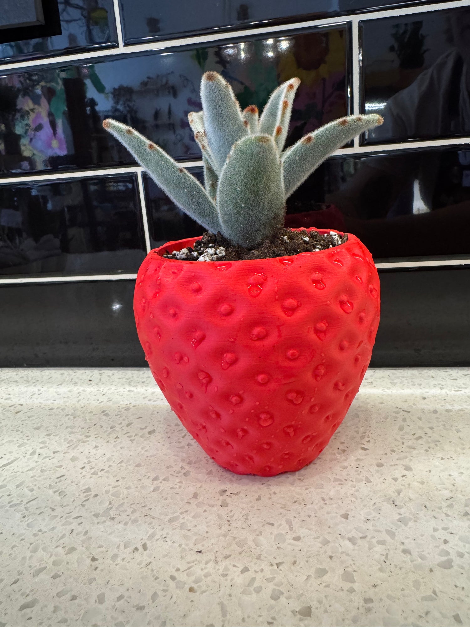 Ux 3D-Printed Strawberry Potted With Panda Plant Succulent
