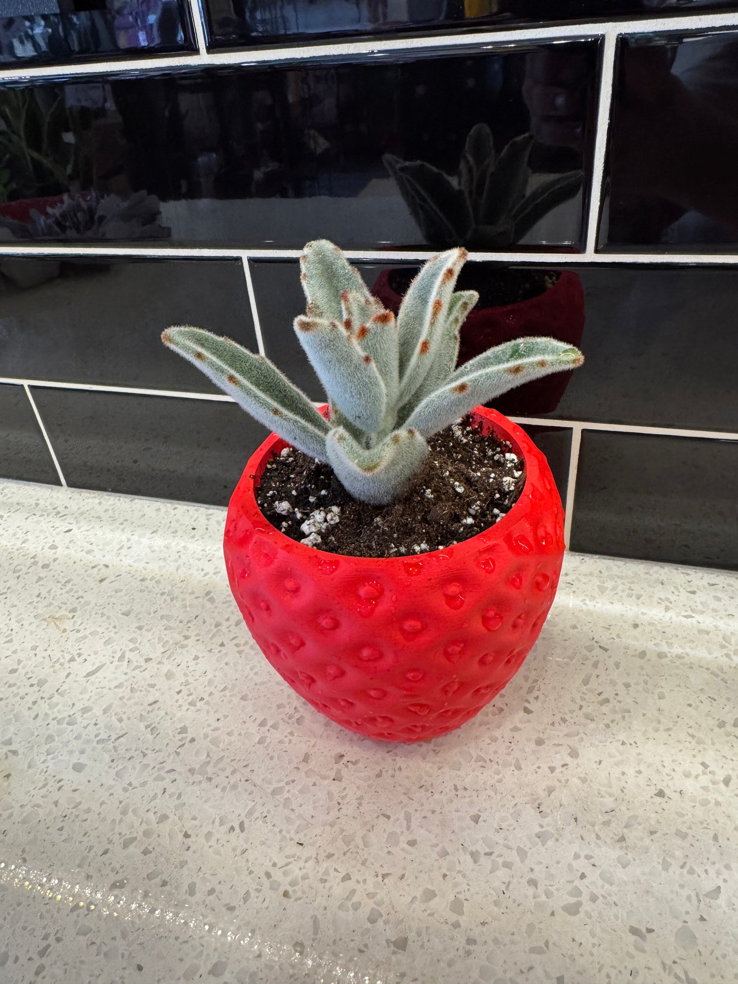 Ux 3D-Printed Strawberry Potted With Panda Plant Succulent
