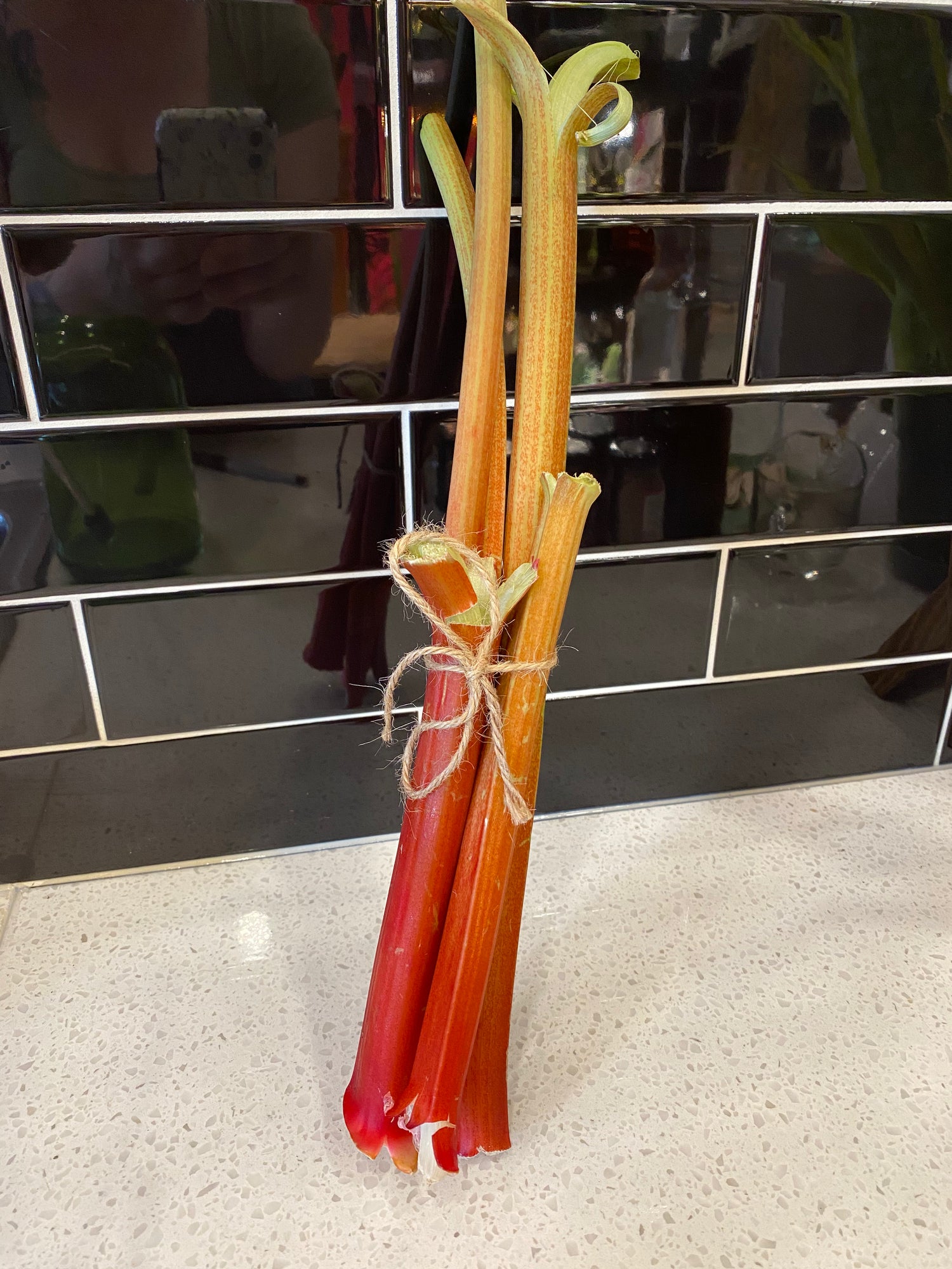 Rhubarb