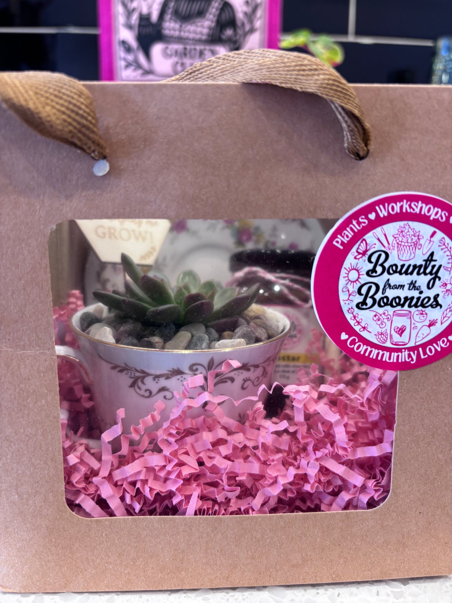 Mother’s Day Tea Pot Succulent/Nectar Bundle