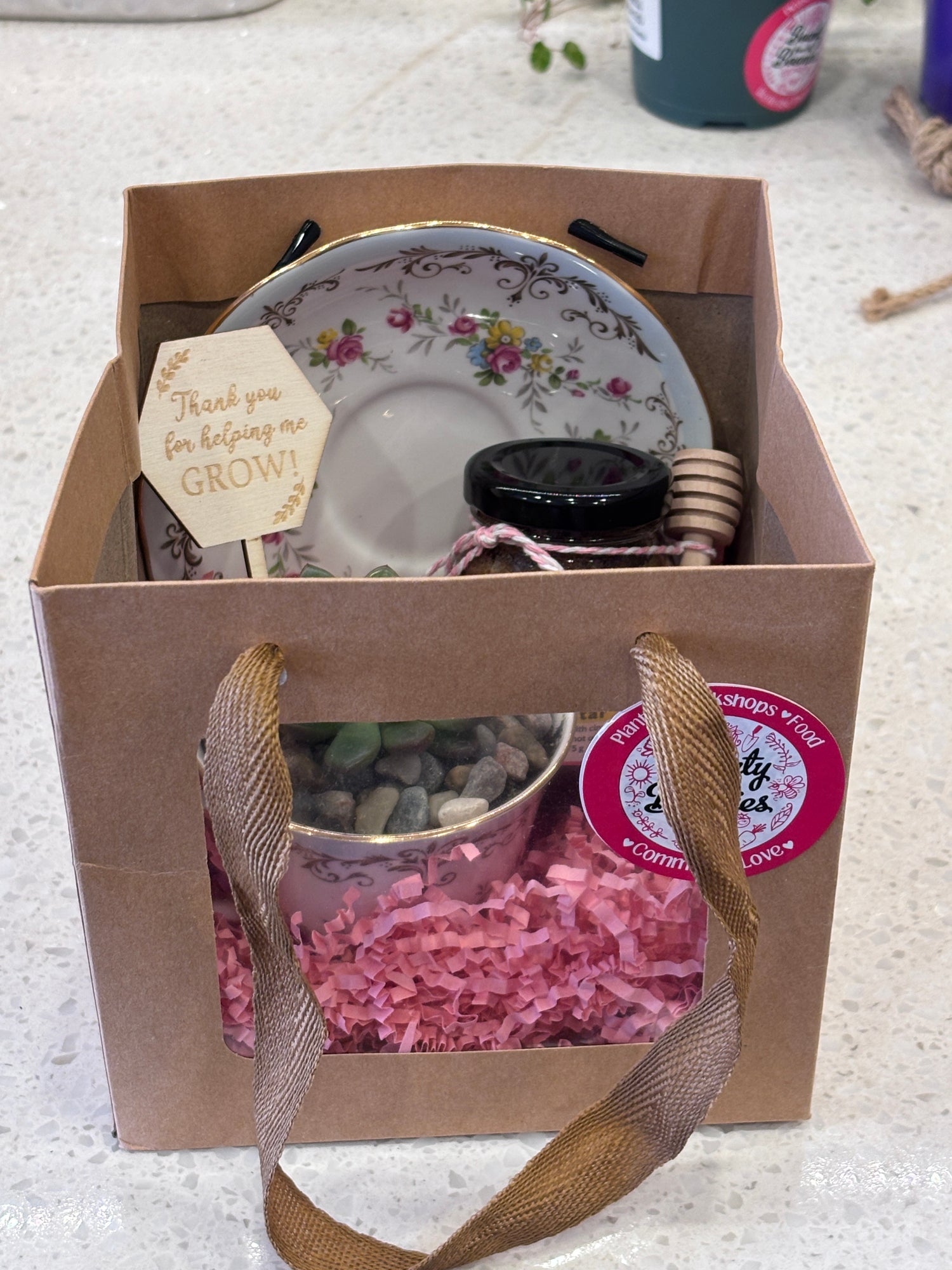 Mother’s Day Tea Pot Succulent/Nectar Bundle