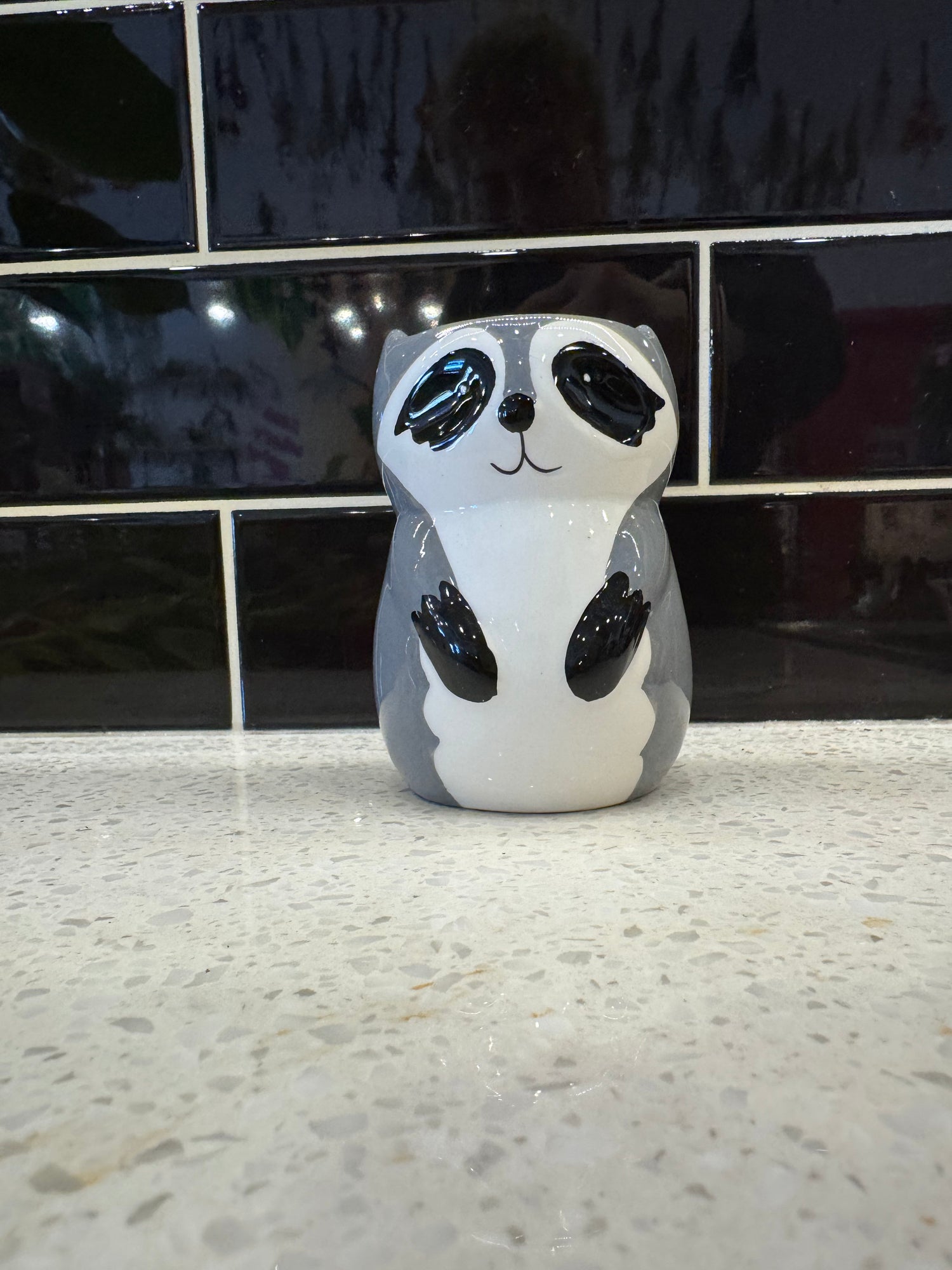 Small raccoon Pot