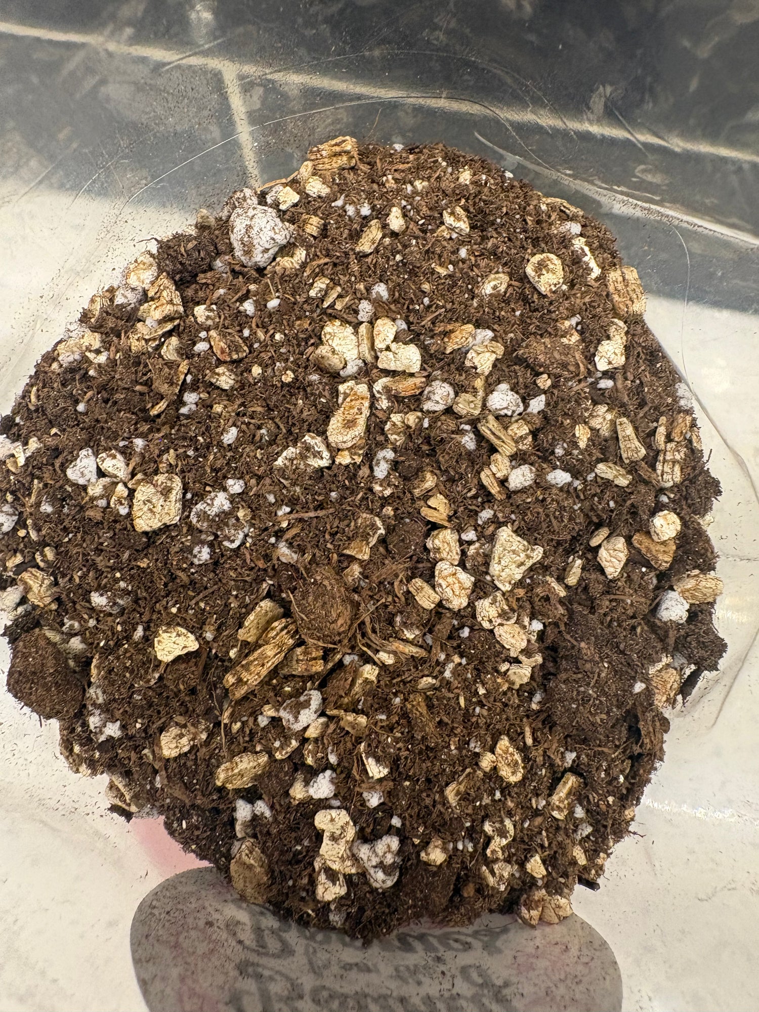 Cactus + Succulent Potting Mix