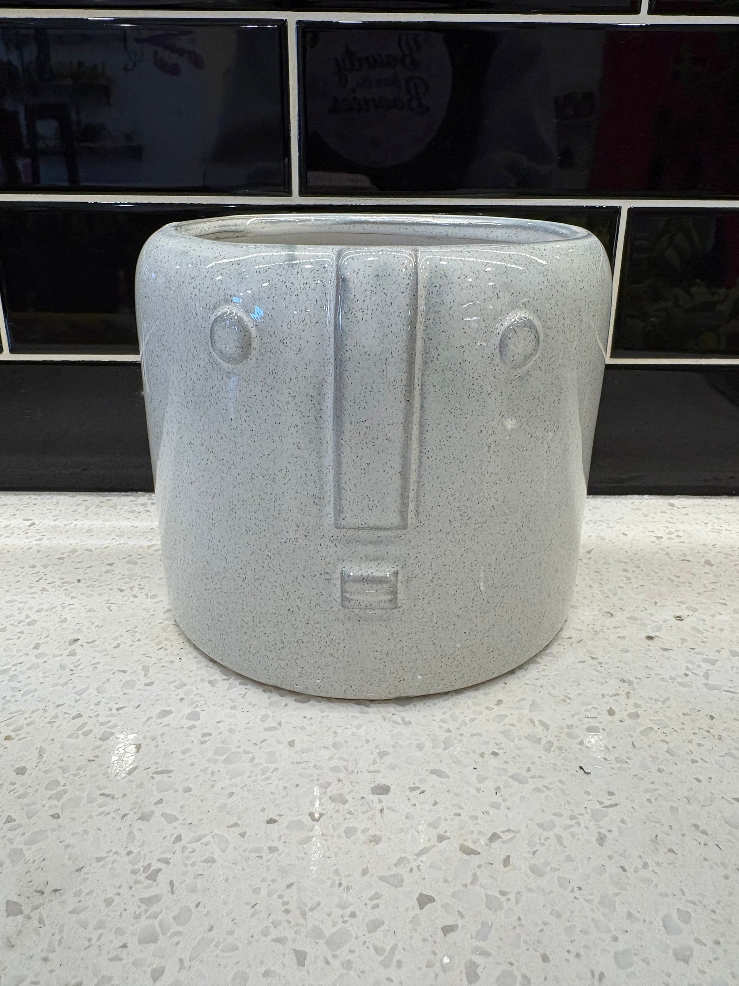 Medium Gray Speckled Face Pot
