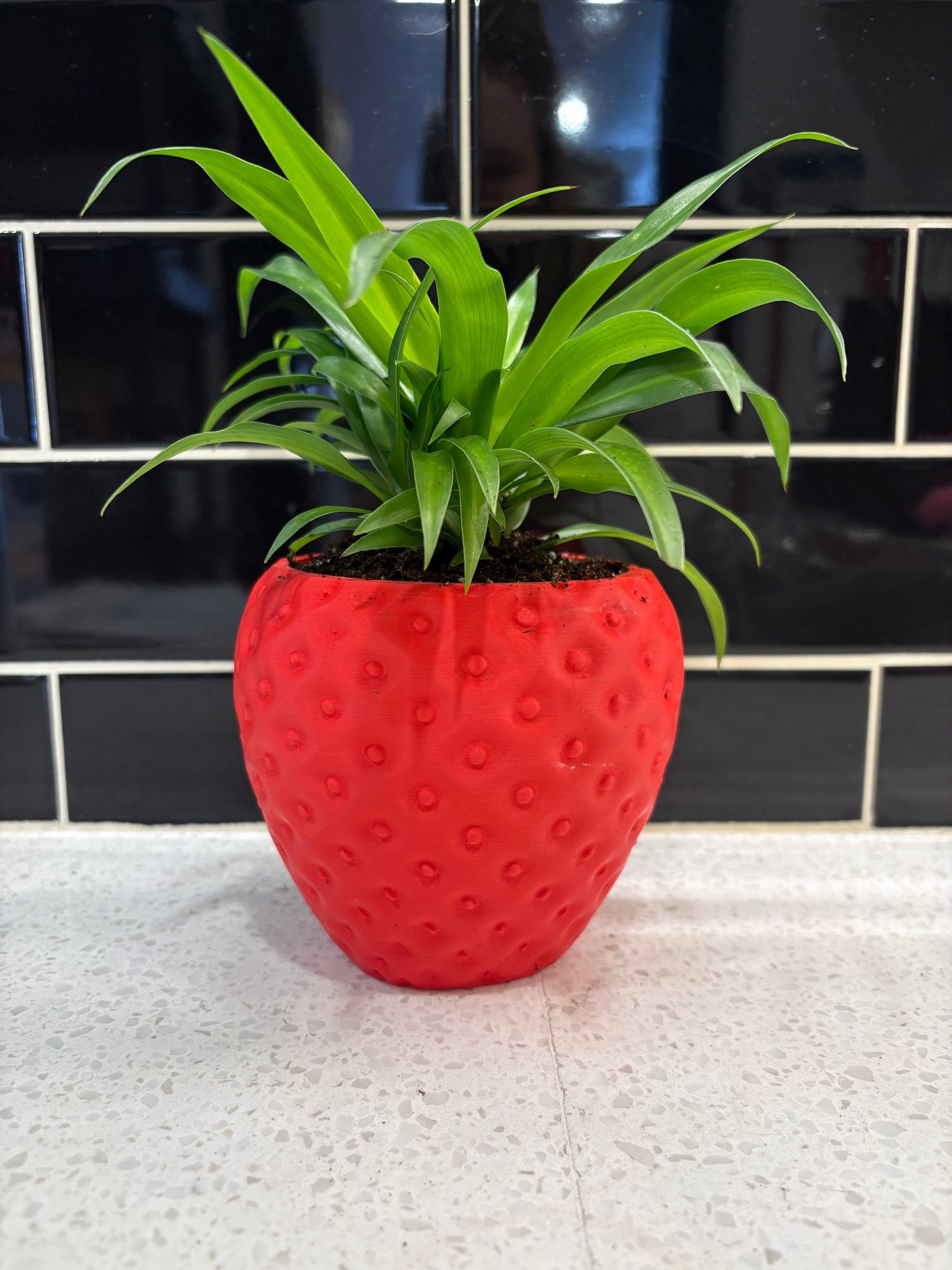 Ux 3D-Printed Strawberry Potted With Spider Plant