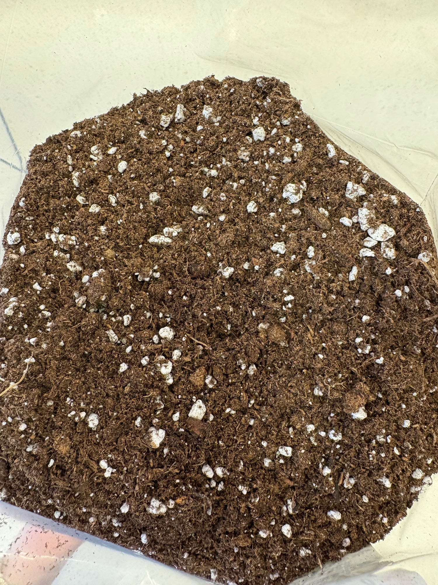 Boonies Blend - All Purpose Potting Mix
