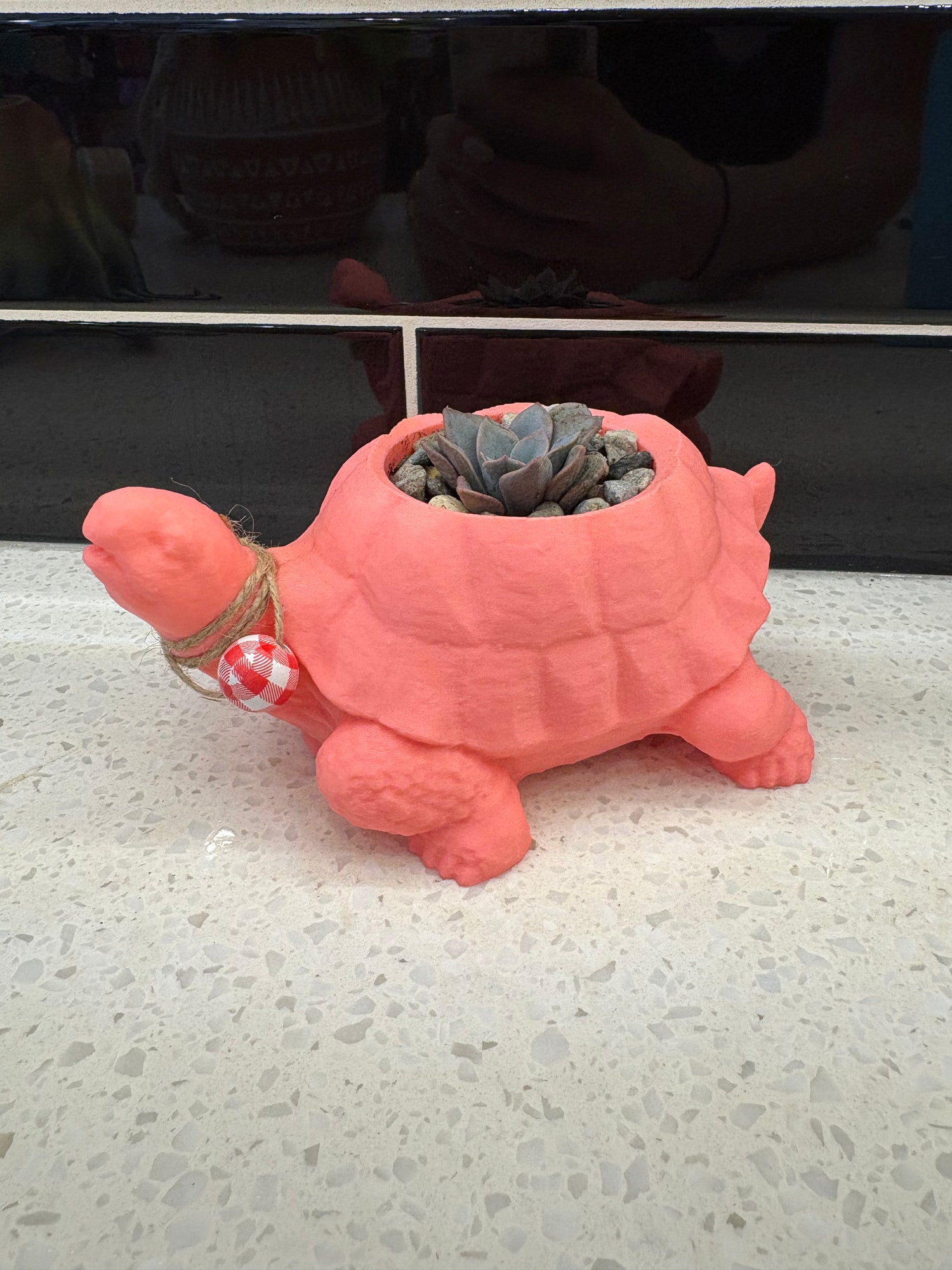 Potted Succulent in 3D-Printed Pink Tortoise