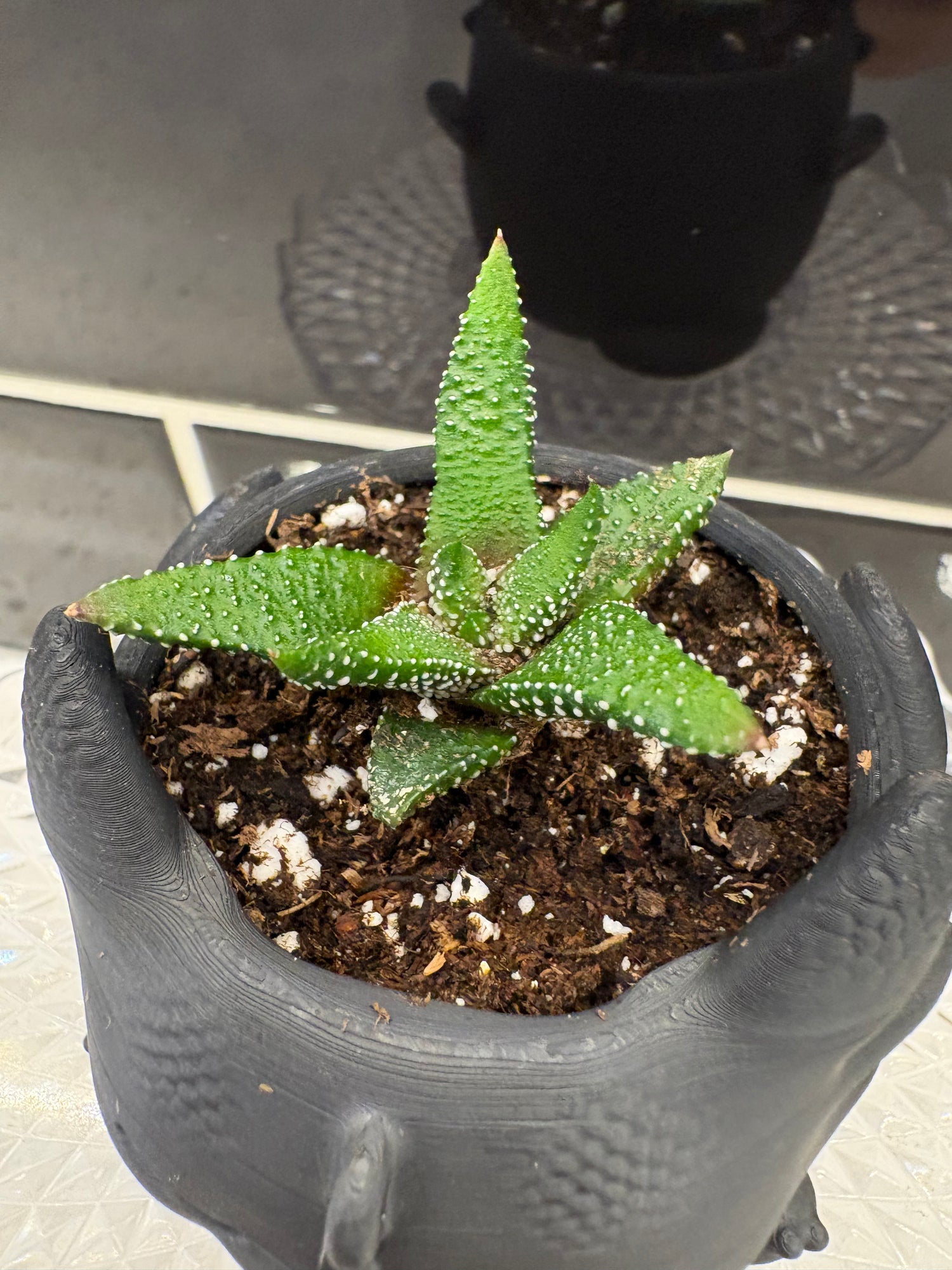 Succulent Potted Into Toothless The Dragon Ux 3D-Prints Pot