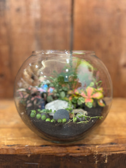 Terrarium - Large