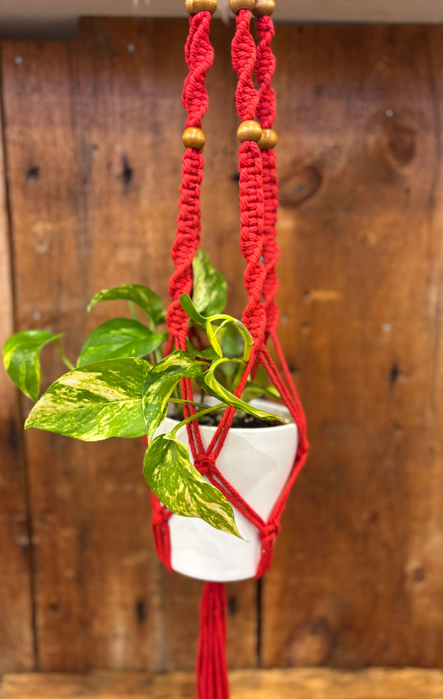 Macrame Hangers - multicoloured