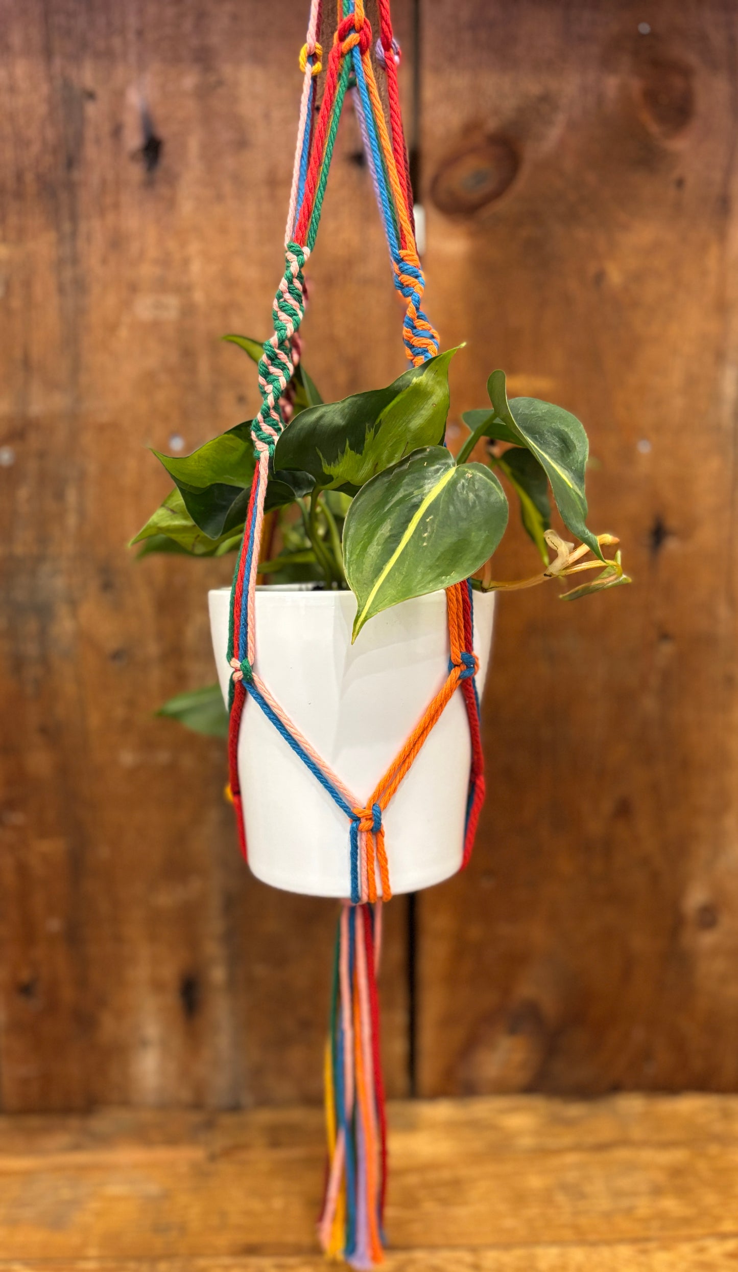 Macrame Hangers - multicoloured