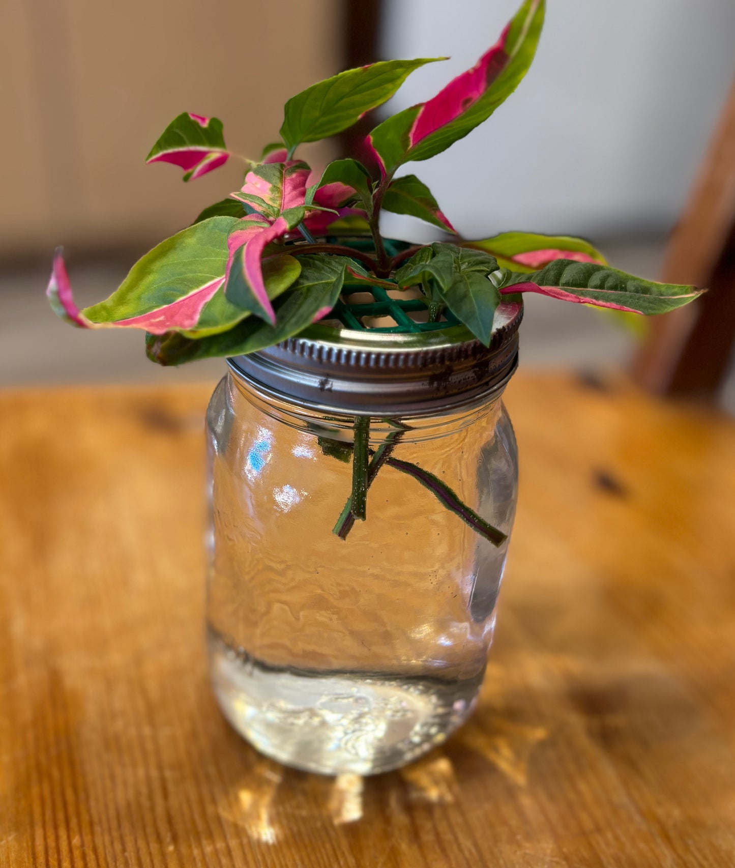 3D Printed Flower Holder