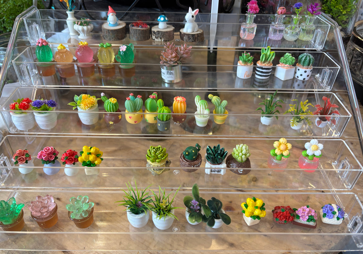 Mini Dollhouse Plants