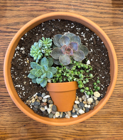 Potted Succulents w/little pot in terra cotta