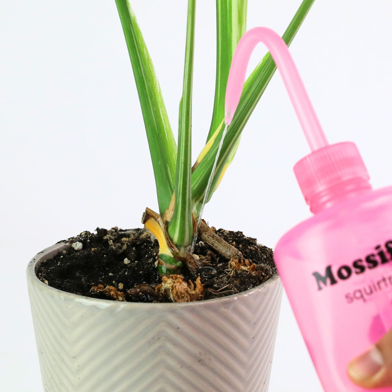 Mossify Squirtr 500ml