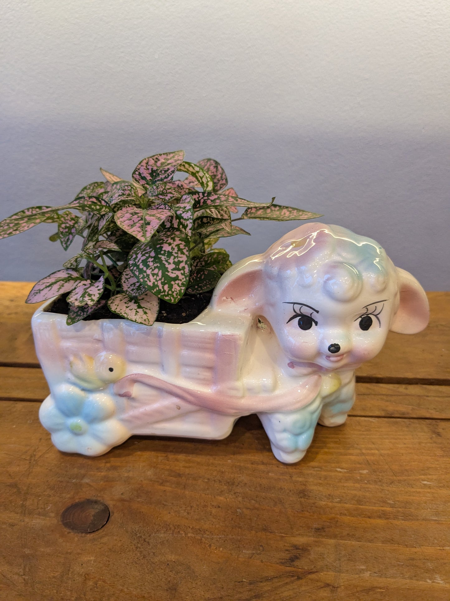 Vintage Lamb Planter Potted with Pink Polka Dot Plant