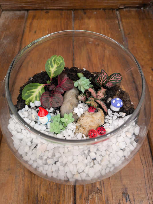 Create Your Own Whimsical Terrarium - Workshop