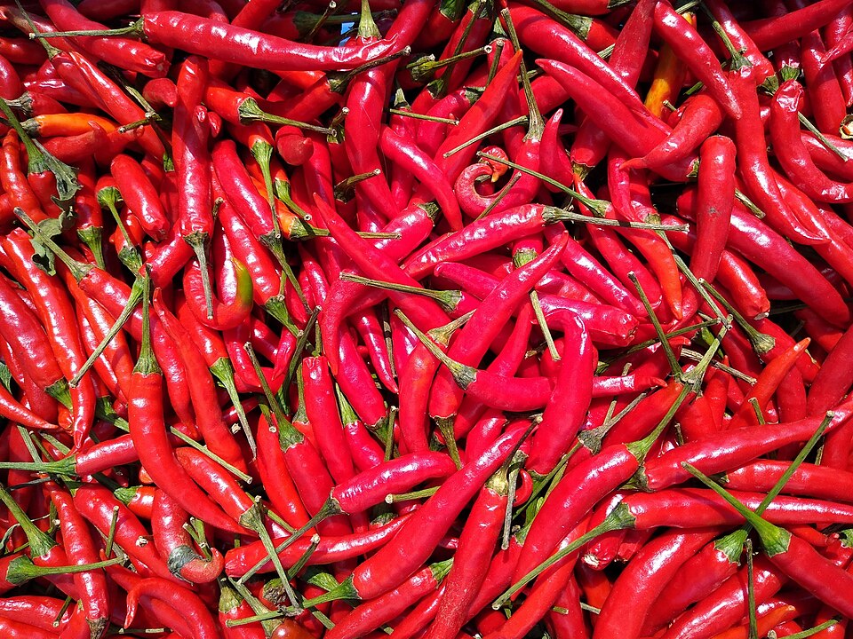 Portugal hot pepper
