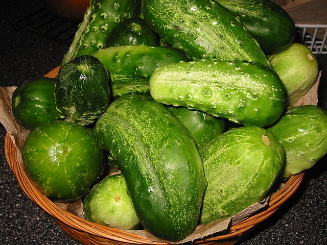 Cucumber, Pickling Cucumber