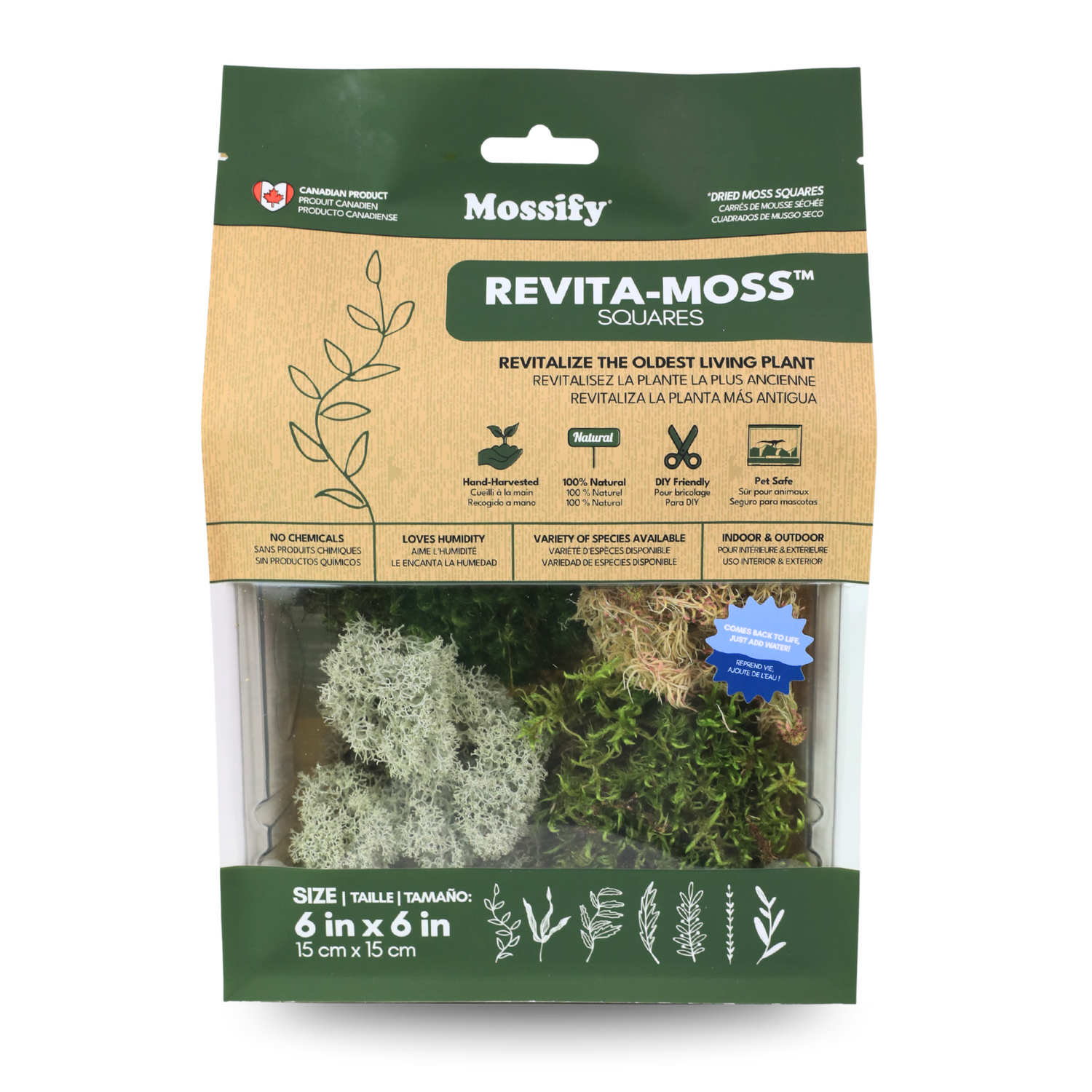 Mossify Moss Squares