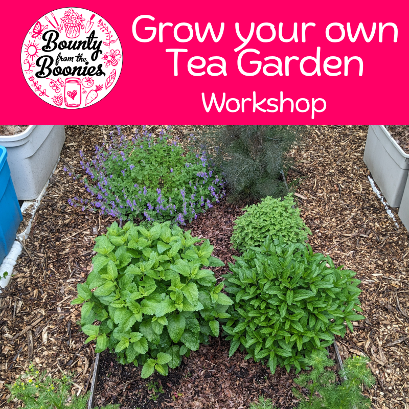 Grow your own Tea Garden Workshop