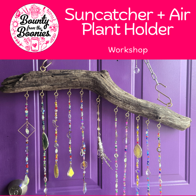 January Joy: Driftwood Suncatcher + Air Plant Holder