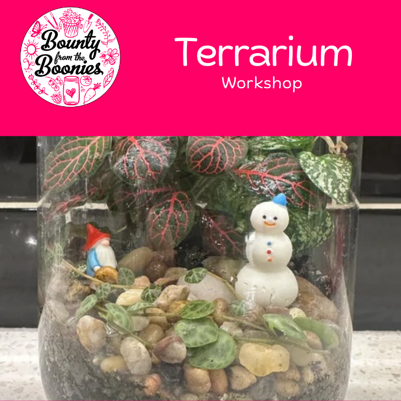 Terrarium Workshop