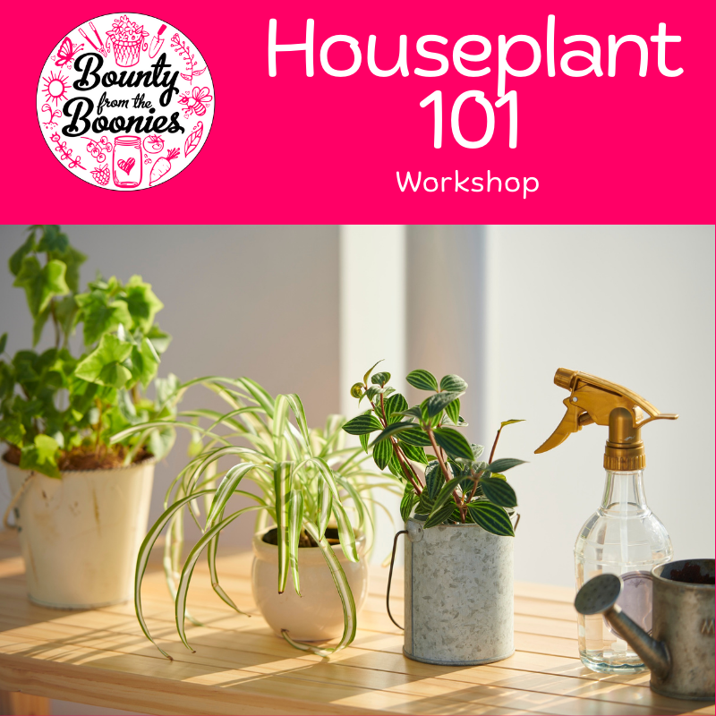 Houseplant 101 Workshop