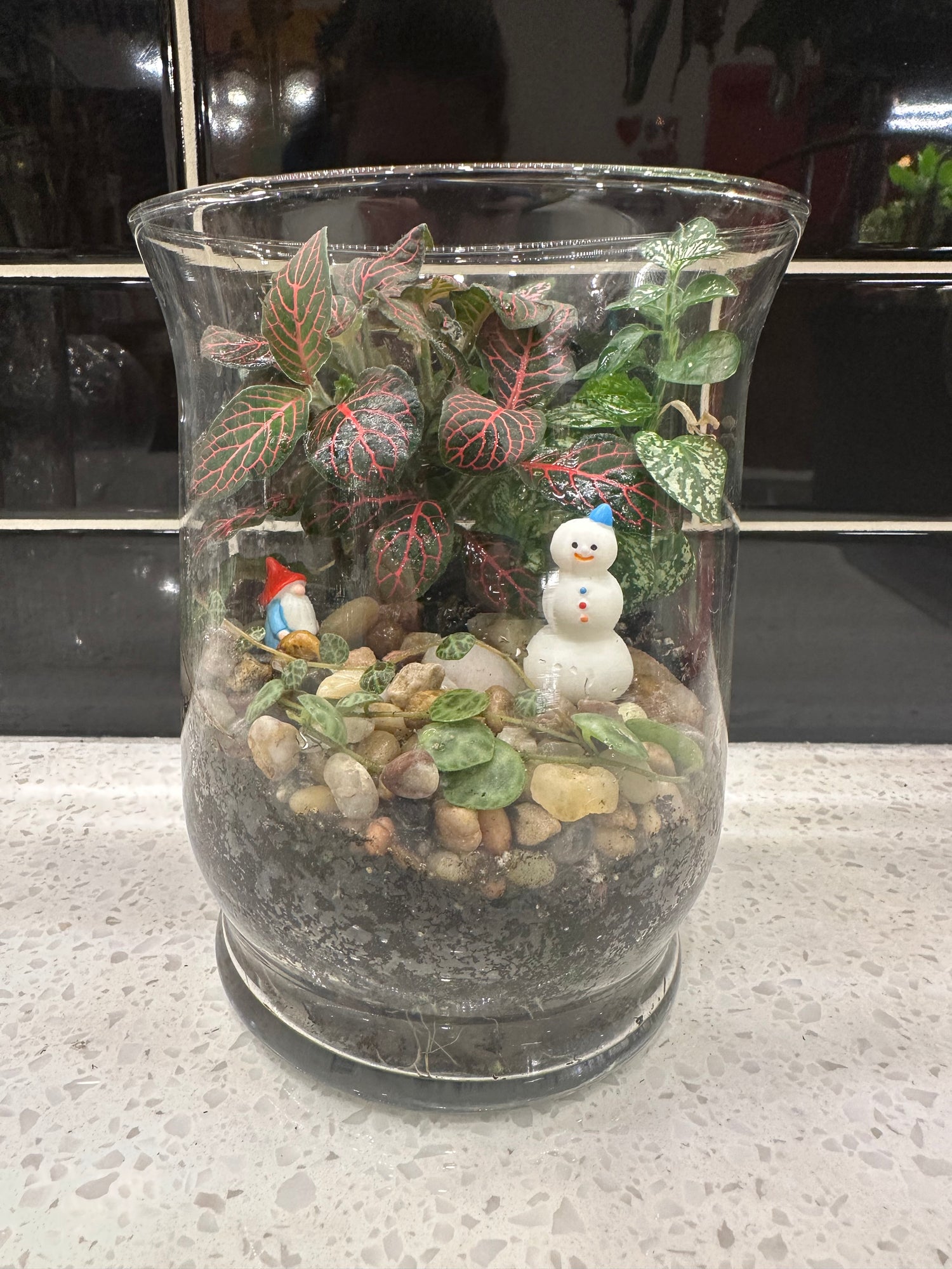 Terrarium Workshop