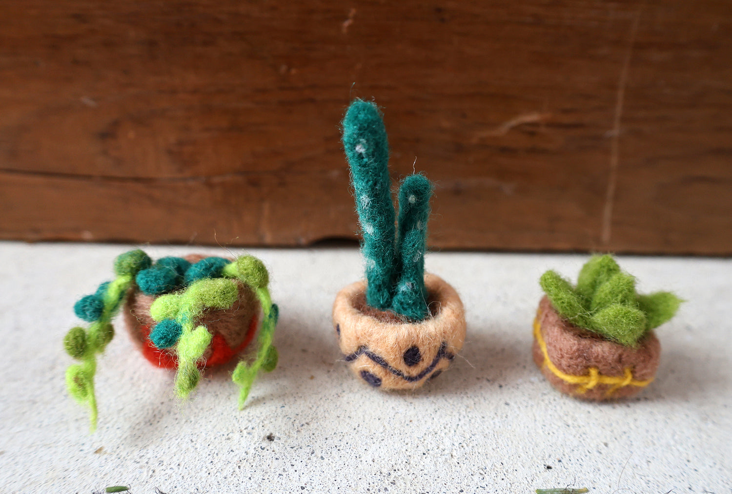 Mini Felted Plant Magnet Workshop