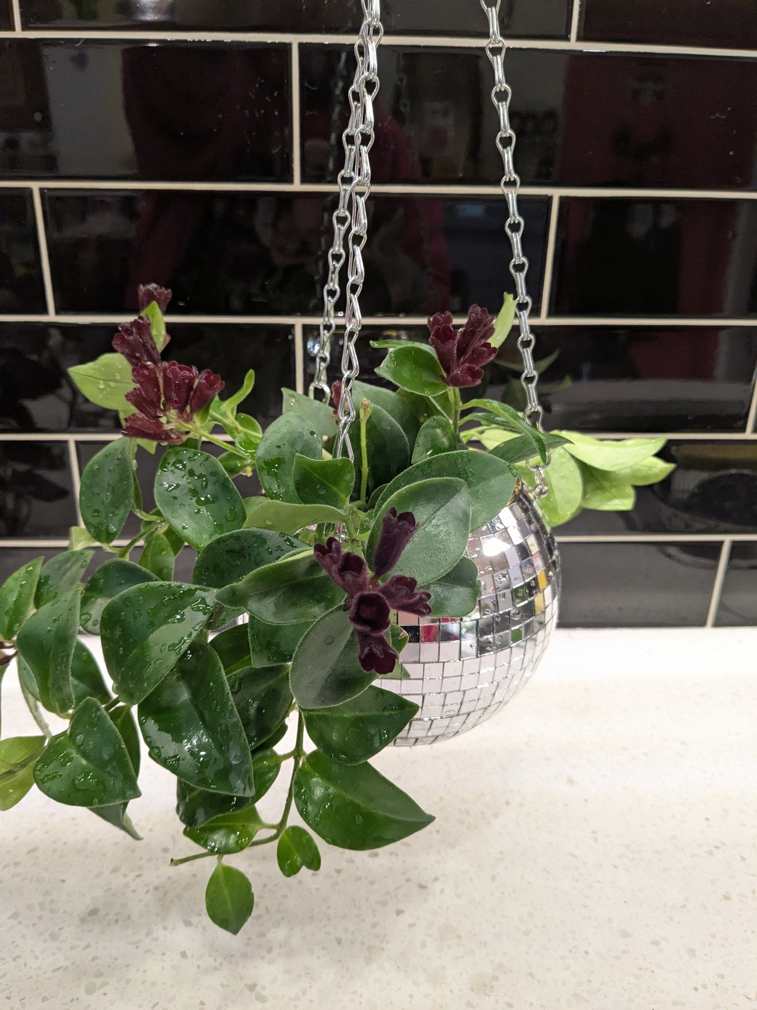 Disco Ball Lipstick Plant Planter