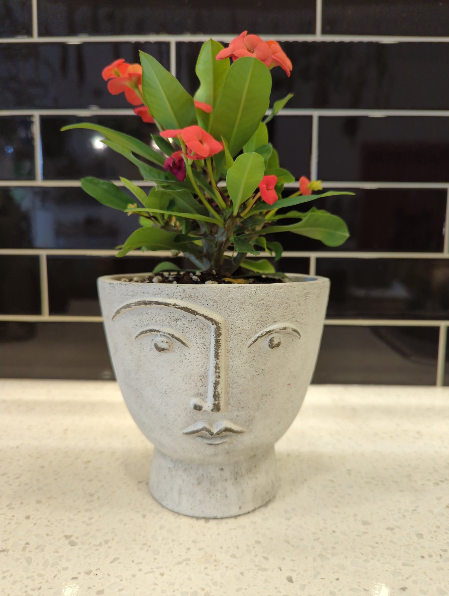 Stone Face Pot with Crown of Thorns