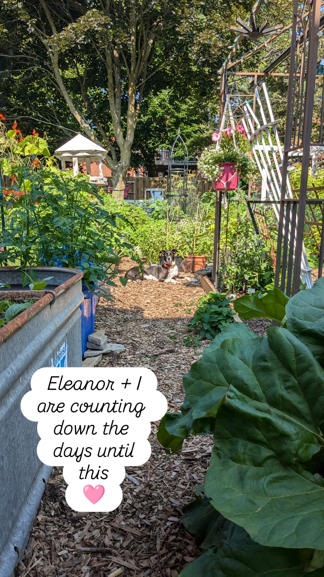 Food Garden Tour + Q&A