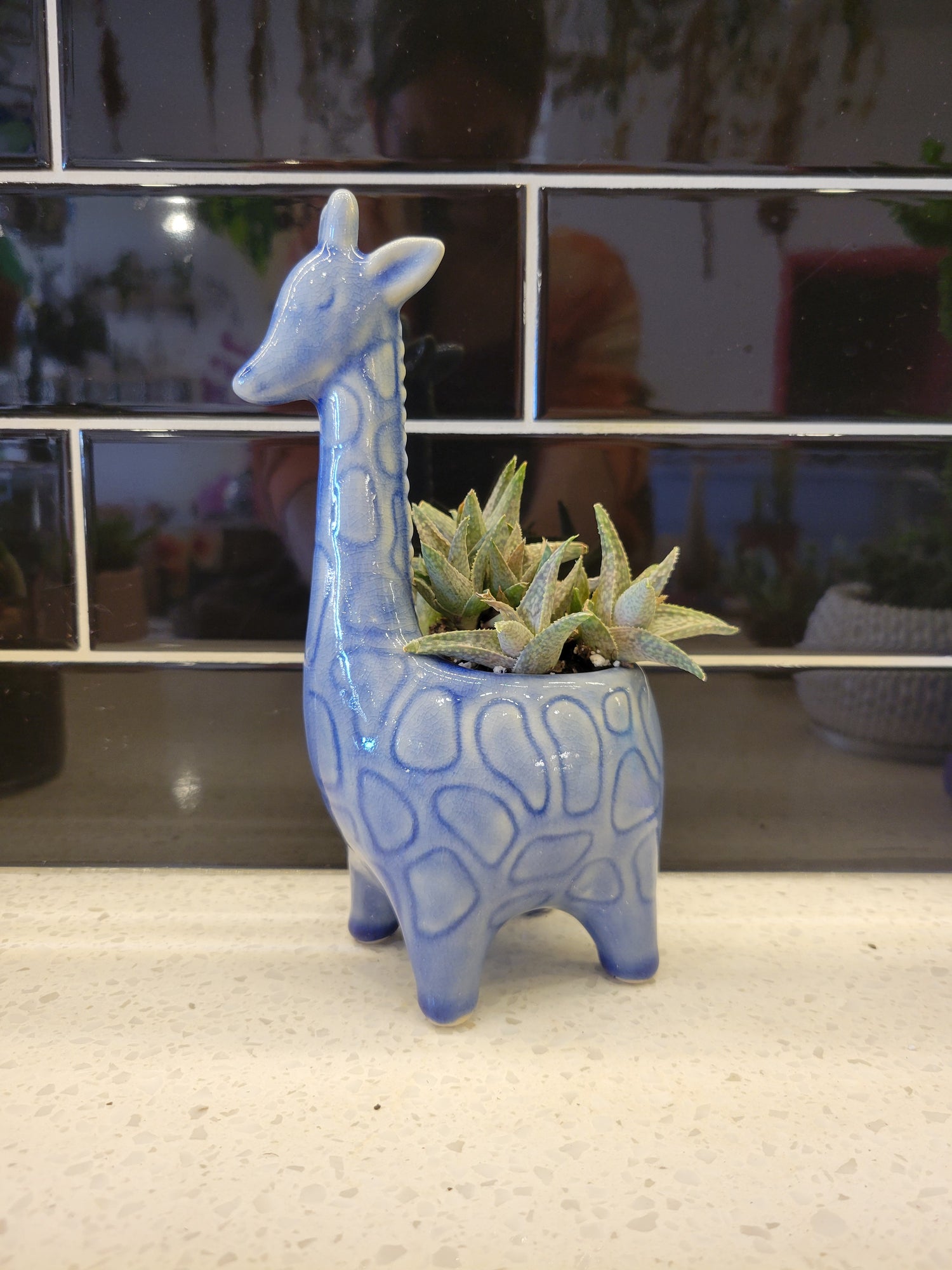 Blue Ceramic Giraffe w/succulent