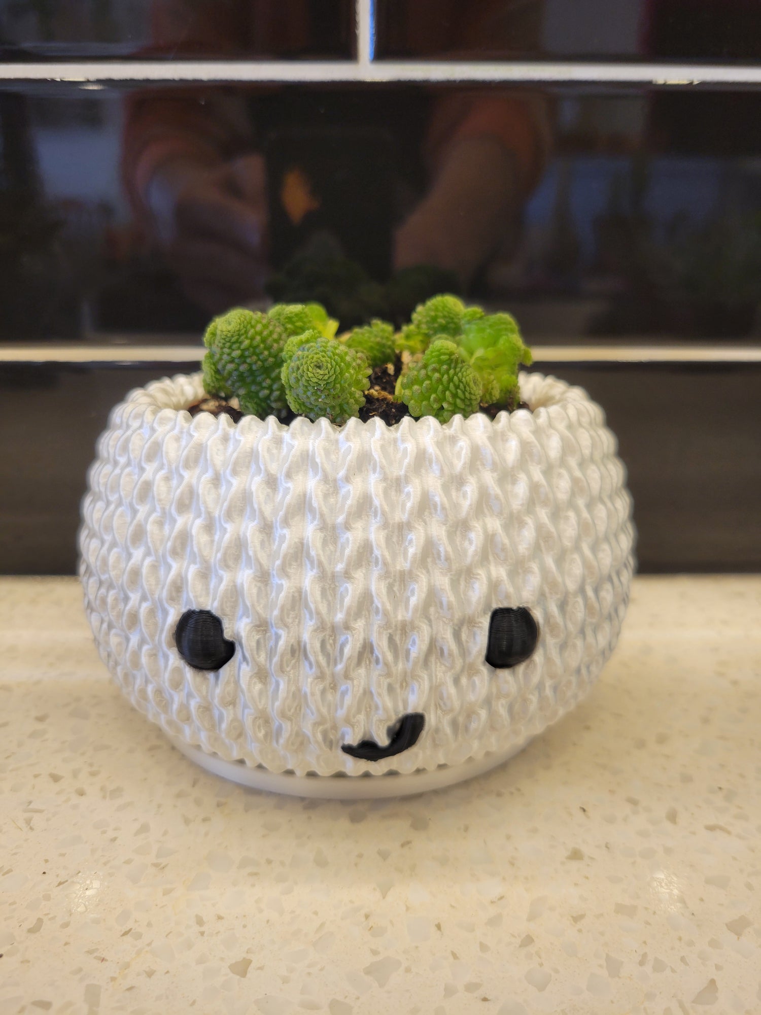 Yarn Buddy - 3D printed pot w/succulent