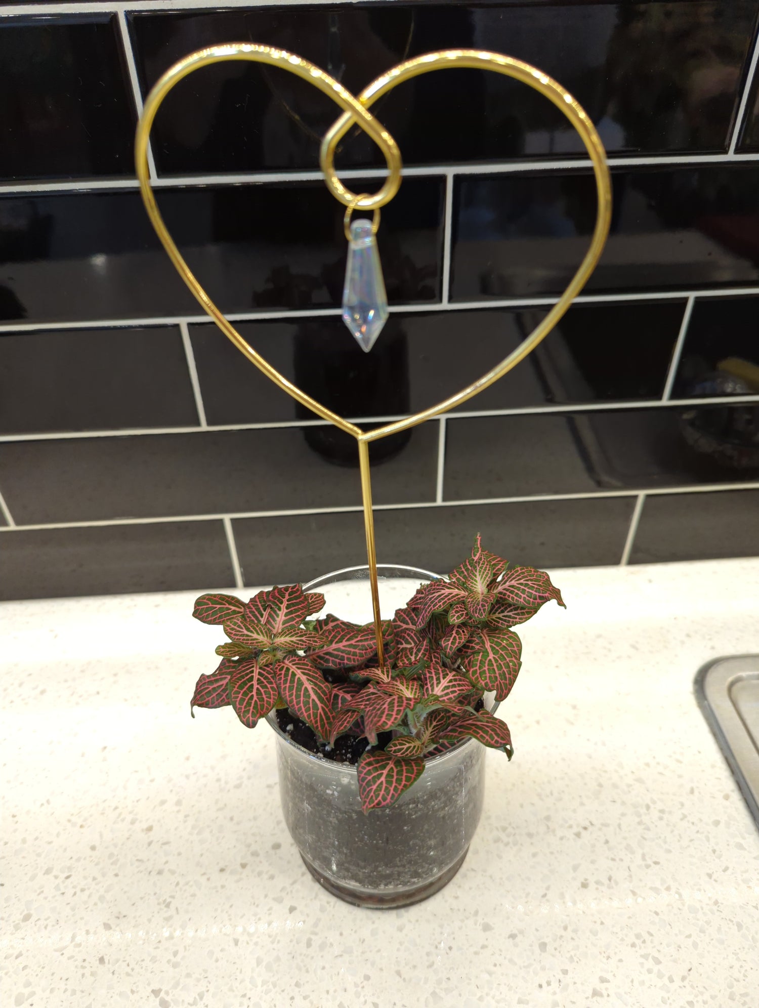 Potted Nerve Plant in Clear Glass Planter and Gold Heart Trellis with Crystal