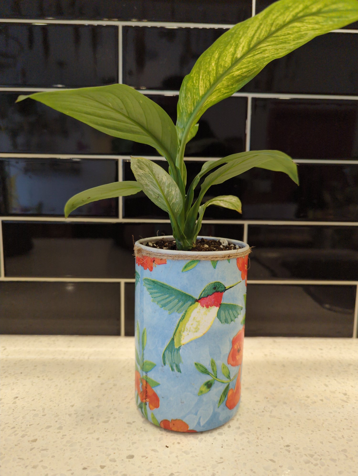 Hummingbird Pot with Peace Lily Sensation